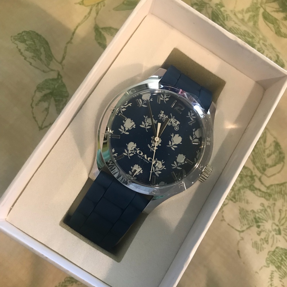 Blue Coach Watch